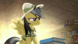 Size: 640x360 | Tagged: safe, edit, edited screencap, screencap, daring do, pony, daring doubt, animated, book, bookshelf, clothes, glasses, hat, reversed
