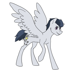 Size: 3300x3300 | Tagged: safe, artist:phobicalbino, rumble, pegasus, pony, adult, cutie mark, male, older, simple background, stallion