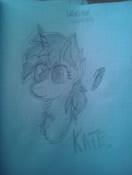 Size: 1620x2160 | Tagged: safe, artist:terminalhash, oc, oc only, oc:kate, pony, graph paper, sketch, solo, traditional art