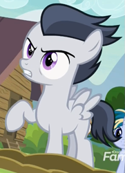 Size: 365x505 | Tagged: safe, screencap, mocha berry, rumble, skeedaddle, pegasus, pony, unicorn, marks and recreation, angry, colt, cropped, discovery family logo, male, raised hoof, solo focus