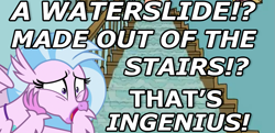 Size: 1365x662 | Tagged: safe, edit, editor:pika-robo, silverstream, hippogriff, caption, cute, dark comedy, diastreamies, family guy, female, image macro, solo, stairs, text, that hippogriff sure does love stairs, too dumb to live