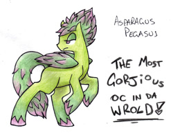 Size: 800x618 | Tagged: safe, artist:norcinu, oc, oc only, oc:asparagus, food pony, original species, pegasus, pony, asparagus, food, ponified, solo, traditional art