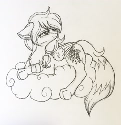 Size: 2877x2968 | Tagged: safe, artist:starletnightwind, oc, oc:dream catcher, fox, fox pony, hybrid, pony, chest fluff, cloud, ear fluff, female, high res, sitting on cloud, sketch