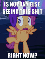 Size: 303x393 | Tagged: safe, edit, edited screencap, screencap, scootaloo, sleepless in ponyville, animated, caption, cropped, gif, helmet, image macro, meme, pointing, solo, text, trembling, vulgar