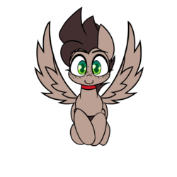 Size: 2000x2000 | Tagged: safe, artist:nekro-led, part of a set, oc, oc only, oc:choco mocca, pegasus, pony, animated, collar, cute, flying, freckles, gif, looking at you, loop, simple background, smiling, solo, white background, ych result