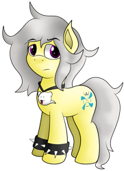 Size: 1830x2532 | Tagged: safe, artist:spk, oc, oc only, oc:spokey, earth pony, ghost, ghost pony, pony, 2020 community collab, derpibooru community collaboration, female, jewelry, male, necklace, simple background, solo, spiked wristband, transparent background, wristband