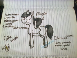 Size: 2048x1536 | Tagged: safe, artist:cookiesandcakes, oc, oc only, alicorn, pony, alicorn oc, eye clipping through hair, female, grin, lined paper, mare, reference sheet, smiling, solo, spanish, traditional art