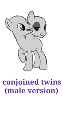 Size: 1080x2160 | Tagged: safe, artist:calebtyink, earth pony, pony, (male) base, base, conjoined, conjoined twins, male, multiple heads, stallion, template, two heads