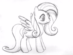 Size: 2948x2243 | Tagged: safe, artist:michiito, fluttershy, pegasus, pony, monochrome, pencil drawing, sketch, solo, traditional art