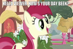 Size: 669x452 | Tagged: safe, edit, edited screencap, editor:undeadponysoldier, screencap, roseluck, earth pony, pony, breaking the fourth wall, bush, cute, female, fence, flower, heart, looking at you, mare, open mouth, ponyville, question mark, smiling, solo, talking to viewer