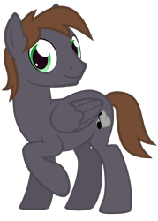 Size: 1406x1969 | Tagged: safe, artist:the smiling pony, oc, oc only, oc:wingbeat, pegasus, pony, .svg available, 2020 community collab, bags under eyes, derpibooru community collaboration, folded wings, looking at you, male, raised leg, simple background, smiling, solo, stallion, svg, transparent background, vector, wings