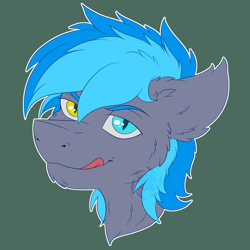 Size: 3000x3000 | Tagged: safe, artist:fkk, oc, oc only, oc:midnight snowstorm, bat pony, pony, bat pony oc, bust, commission, heterochromia, male, portrait, solo, stallion