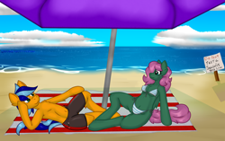 Size: 2368x1489 | Tagged: safe, alternate version, artist:deusexkittycoon, oc, oc:hailfire, oc:petal eclipse, anthro, unguligrade anthro, arm hooves, beach, belly button, bikini, clothes, nipples, nudity, petailfire, swimming trunks, swimsuit