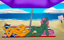 Size: 2368x1489 | Tagged: safe, alternate version, artist:deusexkittycoon, oc, oc:hailfire, oc:petal eclipse, anthro, pegasus, beach, petailfire