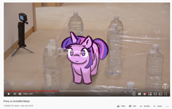 Size: 1180x744 | Tagged: safe, artist:burgeroise, twilight sparkle, alicorn, pony, behaving like a cat, bottle, bottlecap, cream heroes, cute, female, irl, photo, ponies in real life, ponified animal photo, ponified animal video, solo, twiabetes, youtube