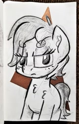 Size: 1275x1987 | Tagged: safe, artist:shoeunit, roseluck, earth pony, pony, alternate hairstyle, female, mare, solo, traditional art