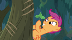 Size: 1920x1080 | Tagged: safe, screencap, scootaloo, pony, the last crusade, solo