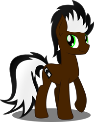 Size: 1435x1872 | Tagged: safe, artist:soulakai41, oc, earth pony, pony, male, simple background, solo, stallion, transparent background