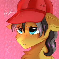 Size: 3000x3000 | Tagged: source needed, safe, artist:pesty_skillengton, oc, oc only, oc:small block, pegasus, pony, bust, hat, portrait, sigh, solo