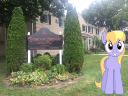 Size: 2049x1537 | Tagged: safe, artist:bluemeganium, edit, editor:topsangtheman, cloud kicker, pegasus, pony, building, bush, flower, grass, irl, looking at you, new york city, photo, ponies in real life, sign, tree