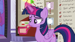 Size: 1920x1080 | Tagged: safe, screencap, twilight sparkle, twilight sparkle (alicorn), alicorn, the summer sun setback, checklist, solo