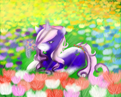 Size: 3000x2400 | Tagged: safe, artist:scarletsfeed, oc, oc only, oc:sweet bouquet, pony, unicorn, blaze (coat marking), flower, garden, levitation, magic, meadow, ribbon, sitting, solo, telekinesis