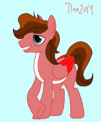 Size: 815x981 | Tagged: safe, artist:timidmystery, oc, oc:crimsonwing, pegasus, pony, male