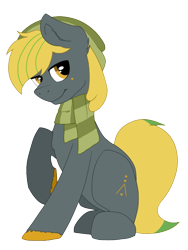 Size: 750x997 | Tagged: safe, artist:juul, oc, oc:jon, earth pony, pony, 2020 community collab, beanie, clothes, derpibooru community collaboration, hat, looking at you, male, scarf, solo, transparent background