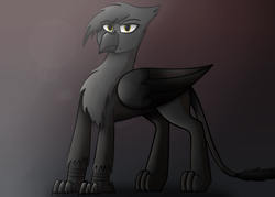 Size: 2800x2000 | Tagged: safe, artist:somber, oc, oc only, oc:heidi blackfeathers, griffon, fallout equestria, fallout equestria: longtalons, colored, fanfic, fanfic art, female, light, looking at you, shadow, solo