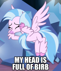 Size: 794x922 | Tagged: safe, edit, edited screencap, screencap, silverstream, classical hippogriff, hippogriff, uprooted, birb, caption, cropped, female, image macro, solo, text