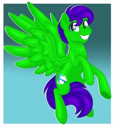 Size: 1600x1772 | Tagged: safe, artist:missmele-madness, oc, oc only, oc:raulix evergreen, pegasus, pony, male, solo, stallion