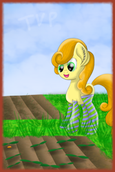 Size: 2000x3000 | Tagged: safe, artist:thevintagepone, carrot top, golden harvest, pony, carrot, clothes, field, food, grass, socks, solo, striped socks