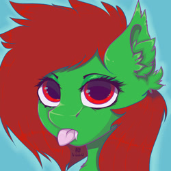 Size: 2500x2500 | Tagged: safe, artist:ardythewonderfull, oc, oc only, oc:watermelon frenzy, bat pony, pony, :p, bat pony oc, bust, ear fluff, fangs, looking at you, male, solo, tongue out, trap