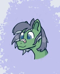 Size: 1156x1418 | Tagged: safe, artist:biglama, oc, earth pony, head, patch, plaster, simple background, solo