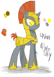 Size: 985x1385 | Tagged: safe, artist:didun850, oc, oc only, oc:urban nightsky, earth pony, pony, earth pony oc, helmet, hoof shoes, reference sheet, royal guard, solo