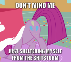 Size: 677x592 | Tagged: safe, pinkie pie, earth pony, pony, party of one, caption, image macro, pinkamena diane pie, shitstorm, text, vulgar