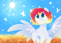Size: 1414x1000 | Tagged: safe, artist:sonnatora, oc, oc:spectrum beam, butterfly, pegasus, pony, chest fluff, female, field, mare, outdoors, pegasus oc, raised hoof, scenery, sitting, sky, smiling, solo, spread wings, sun, three quarter view, wings