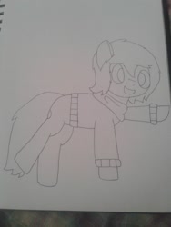 Size: 1932x2576 | Tagged: safe, artist:derpy_the_duck, oc, oc only, oc:derp, earth pony, pony, clothes, solo, traditional art