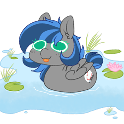 Size: 768x768 | Tagged: safe, artist:littlebibbo, derpibooru exclusive, oc, oc:bibbo, pegasus, pony, behaving like a bird, female, freckles, mare, pegaduck, swimming, tongue out, water, water lily, wings