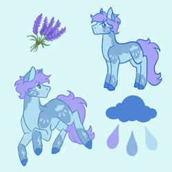 Size: 600x600 | Tagged: safe, artist:flaming-trash-can, oc, oc only, oc:lavender rain, earth pony, pony, male, reference, reference sheet, solo, stallion