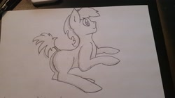 Size: 3264x1836 | Tagged: safe, artist:firestarter, derpibooru import, pony, sketch, traditional art