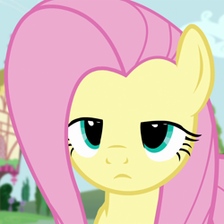 Size: 1080x1080 | Tagged: safe, screencap, fluttershy, pegasus, pony, testing testing 1-2-3, cropped, female, fluttershy is not amused, mare, solo, unamused