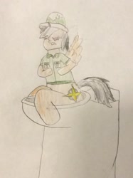 Size: 772x1034 | Tagged: safe, artist:snipiper, daring do, pegasus, pony, but why, curse, fart, female, poop, pooping, toilet, traditional art