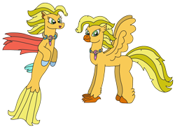 Size: 2784x2013 | Tagged: safe, artist:supahdonarudo, oc, oc only, oc:wave catcher, classical hippogriff, hippogriff, seapony (g4), hippogriff oc, jewelry, necklace, simple background, story included, transparent background