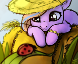 Size: 3000x2464 | Tagged: safe, artist:teichi, ladybug, pony, grass, hat