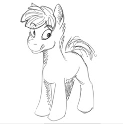 Size: 866x875 | Tagged: safe, artist:fynjy-87, earth pony, male, sketch, stallion