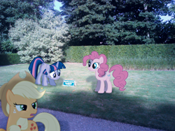 Size: 548x411 | Tagged: safe, artist:bastbrushie, applejack, pinkie pie, twilight sparkle, earth pony, pony, unicorn, france, fuck the police, garden, irl, photo, ponies in real life