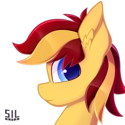 Size: 2000x2000 | Tagged: safe, artist:silshadnic, oc, oc:archi sketch, pony, bust, looking at you, portrait, simple background, solo