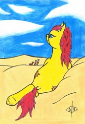 Size: 742x1077 | Tagged: safe, artist:assertiveshypony, oc, oc:sunrunner, earth pony, pony, blue sky, desert, drawing