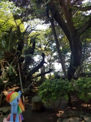 Size: 3024x4032 | Tagged: safe, pegasus, pony, irl, japan, photo, tree